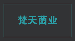 食品行業(yè)工作服定制設計款式